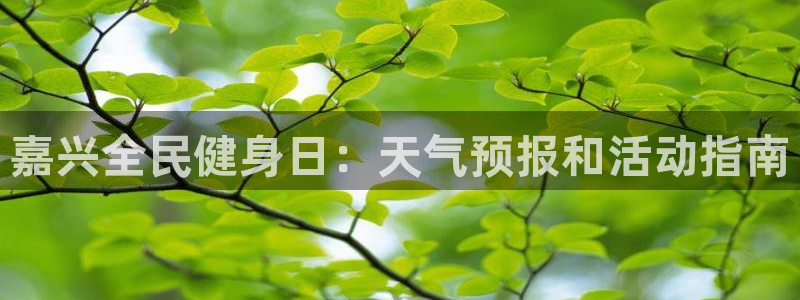 旧版尊龙人生就是博下载：嘉兴全民健身日：天气预报和活动指